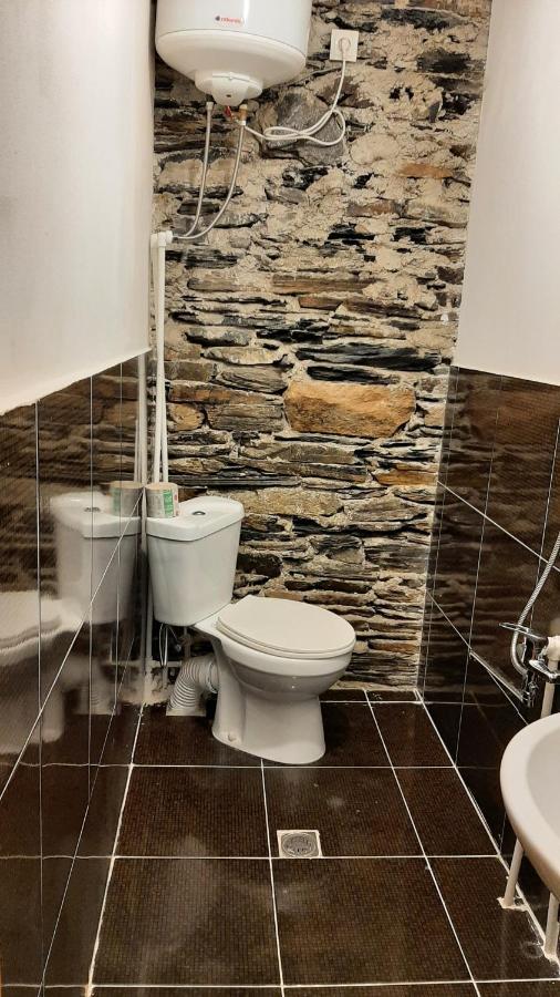Guesthouse Svanuri Sakhli Ushguli Εξωτερικό φωτογραφία