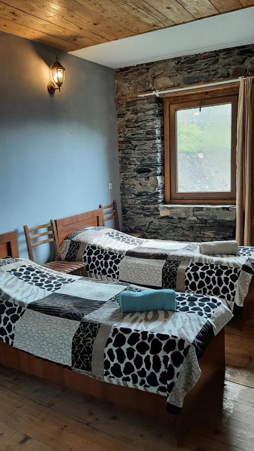 Guesthouse Svanuri Sakhli Ushguli Εξωτερικό φωτογραφία