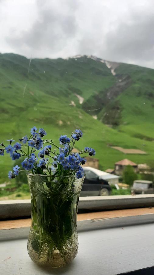 Guesthouse Svanuri Sakhli Ushguli Εξωτερικό φωτογραφία